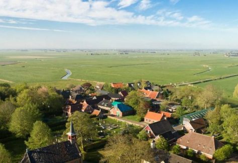 źródło: Agronomist.pl