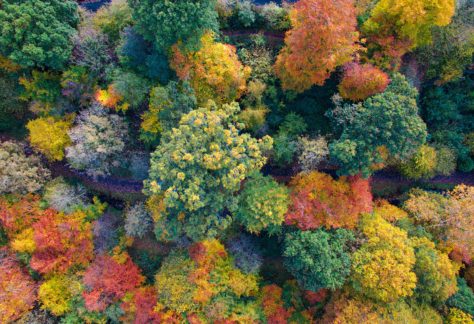 Craig Bradford 9bUkEBeXUUQ Unsplash