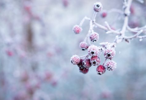 Galina N AgWVcQz1bOA Unsplash